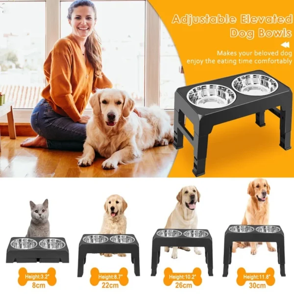 Woman sitting with a golden retriever beside the black elevated double bowl stand
