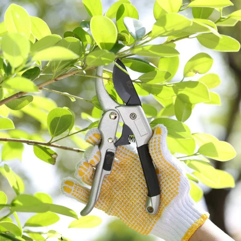 Garden & Outdoor products at Sellgrin